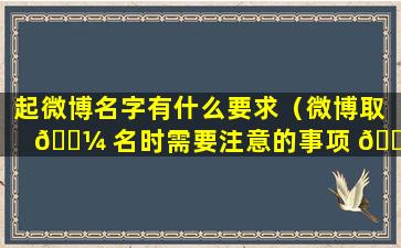 起微博名字有什么要求（微博取 🐼 名时需要注意的事项 🐴 ()）